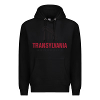 Black transylvania university Premium Hoodie - PixelFlow