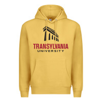 Antique Gold transylvania university Premium Hoodie - PixelFlow