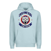 Blue Mist the gaslight anthem Premium Hoodie - PixelFlow