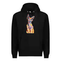 Black Colorful Cat Premium Hoodie - PixelFlow
