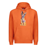 Carrot Colorful Cat Premium Hoodie - PixelFlow