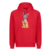 Red Colorful Cat Premium Hoodie - PixelFlow