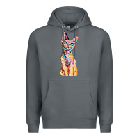 Rock Colorful Cat Premium Hoodie - PixelFlow
