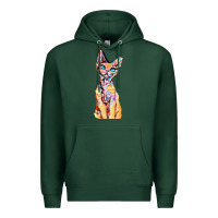 Sports Green Colorful Cat Premium Hoodie - PixelFlow