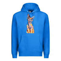 True Royal Colorful Cat Premium Hoodie - PixelFlow