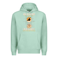 Seafoam assuming i'm just an old lady was your first mistake witch Premium Hoodie - SnappyArt