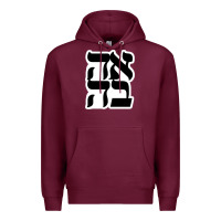 Burgundy human kind be both 28952371 Premium Hoodie - SnappyArt