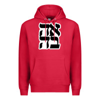 Cardinal human kind be both 28952371 Premium Hoodie - SnappyArt