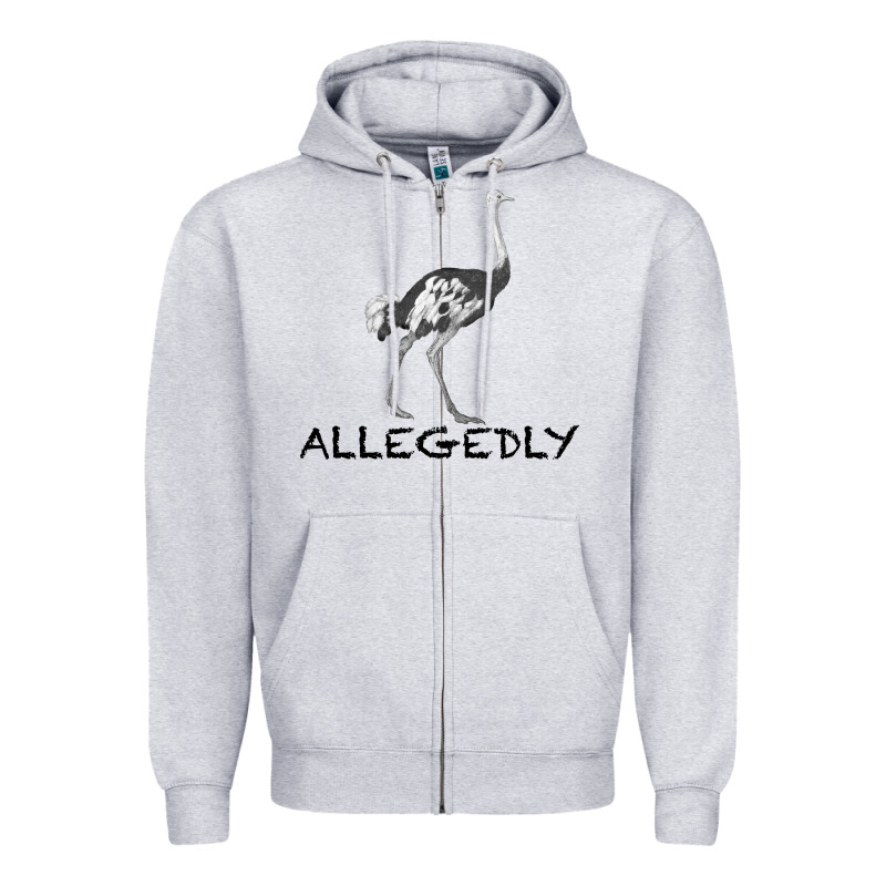 Allegedly Zipper Hoodie by Bettercallsaul | Teevron