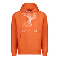 Carrot Cabaret Voltaire Minimal Style Graphic Artwork Design gift Premium Hoodie - FloraArt