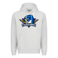 Dove Grey springfield thunderbirds Premium Hoodie - ArtMosaic