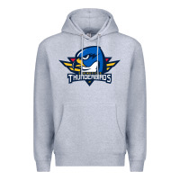 Heather Grey springfield thunderbirds Premium Hoodie - ArtMosaic