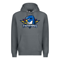 Rock springfield thunderbirds Premium Hoodie - ArtMosaic