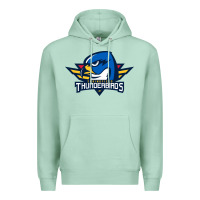 Seafoam springfield thunderbirds Premium Hoodie - ArtMosaic