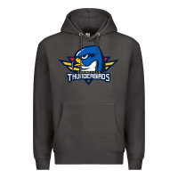 Smoke springfield thunderbirds Premium Hoodie - ArtMosaic