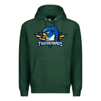 Sports Green springfield thunderbirds Premium Hoodie - ArtMosaic