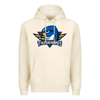Tofu springfield thunderbirds Premium Hoodie - ArtMosaic