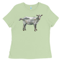 Matcha saanen goat Ladies Tee - LillyAllenDesigns