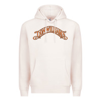 Pale Pink Don Williams - American country singer Premium Hoodie - ArtMosaic