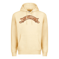 Pina Colada Don Williams - American country singer Premium Hoodie - ArtMosaic