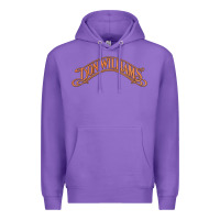 Purple Don Williams - American country singer Premium Hoodie - ArtMosaic