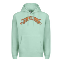 Seafoam Don Williams - American country singer Premium Hoodie - ArtMosaic