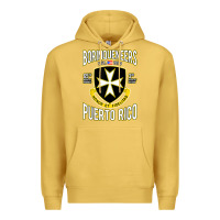 Antique Gold Borinqueneers Puerto Rico Flag Honor Et Fidelitas Premium Hoodie - ArtMosaic