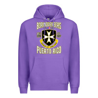 Purple Borinqueneers Puerto Rico Flag Honor Et Fidelitas Premium Hoodie - ArtMosaic