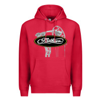 Cardinal sport mathews concert Premium Hoodie - ArtMosaic