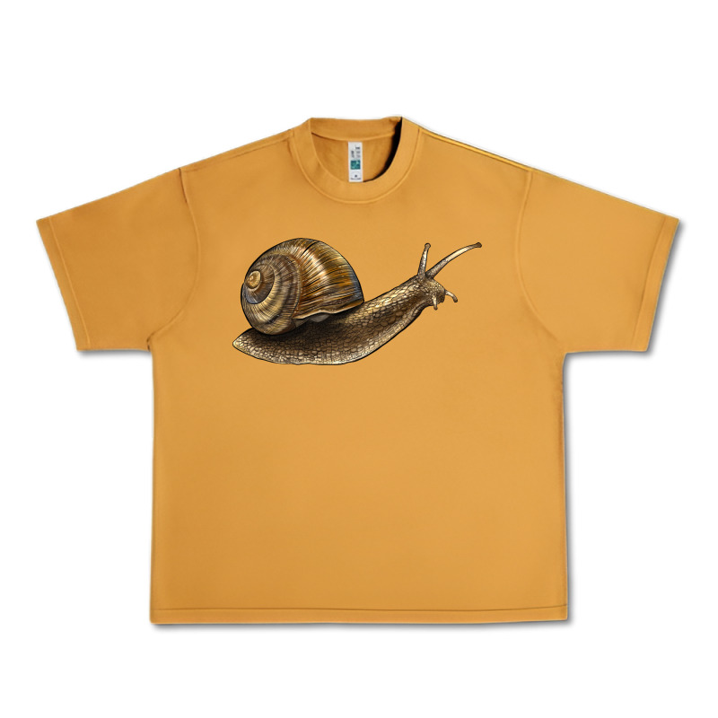 Snail Urban Heavy Tee by LillyAllenDesigns | Teevron