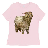 Bubblegum Pink Angora Goat Ladies Tee - LillyAllenDesigns