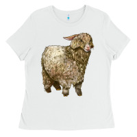 White Angora Goat Ladies Tee - LillyAllenDesigns