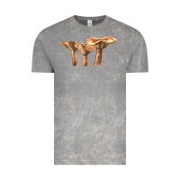 Cloud Rock lactarius rufus mushroom Vintage Tee - LillyAllenDesigns