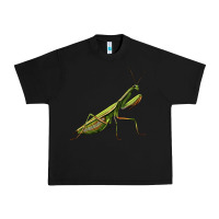 Black mantis Urban Heavy Tee - LillyAllenDesigns