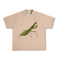 Burro mantis Urban Heavy Tee - LillyAllenDesigns