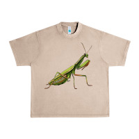French Oak mantis Urban Heavy Tee - LillyAllenDesigns