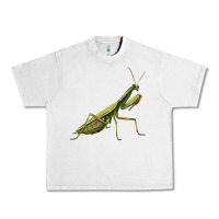 Lunar Rock mantis Urban Heavy Tee - LillyAllenDesigns