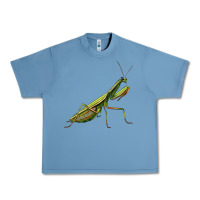 Pebble Blue mantis Urban Heavy Tee - LillyAllenDesigns