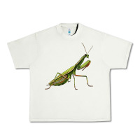 Pistachio mantis Urban Heavy Tee - LillyAllenDesigns