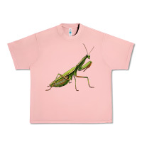 Salmon mantis Urban Heavy Tee - LillyAllenDesigns