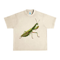 Sandshell mantis Urban Heavy Tee - LillyAllenDesigns