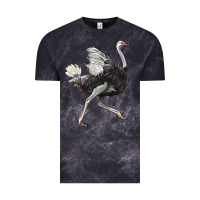 Cloud Black Ostrich Vintage Tee - LillyAllenDesigns