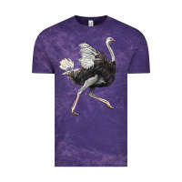 Cloud Purple Ostrich Vintage Tee - LillyAllenDesigns