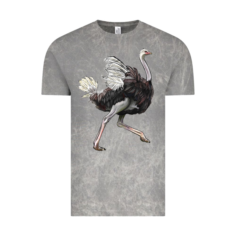 Ostrich Vintage Tee by LillyAllenDesigns | Teevron