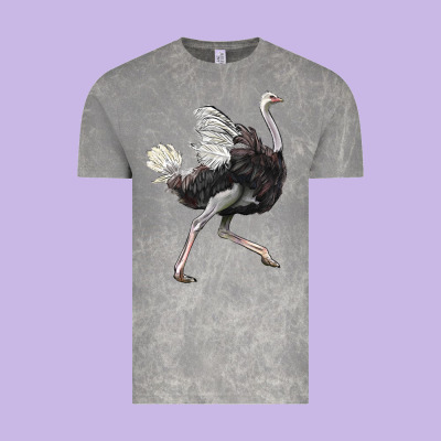 Ostrich Vintage Tee Designed By Lillyallendesigns
