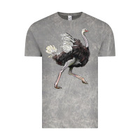 Cloud Rock Ostrich Vintage Tee - LillyAllenDesigns