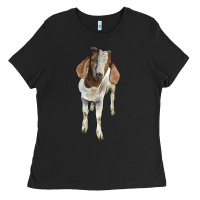 Black boer goat Ladies Tee - LillyAllenDesigns