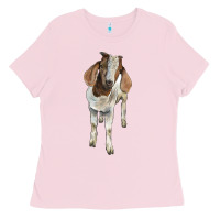 Bubblegum Pink boer goat Ladies Tee - LillyAllenDesigns