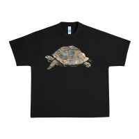 Black Tortoise Illustrations Urban Heavy Tee - LillyAllenDesigns