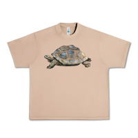 Burro Tortoise Illustrations Urban Heavy Tee - LillyAllenDesigns